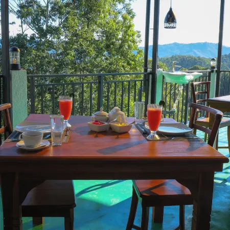 Ivory Canopy resort