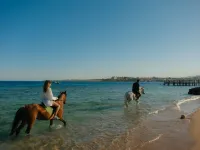Mövenpick Sharm El Sheikh - Romantische