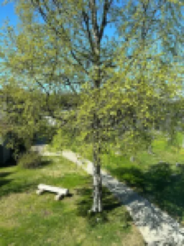 Apartment in the Heart of Kenai Just 1.2 Miles from the Mouth of the Kenai River