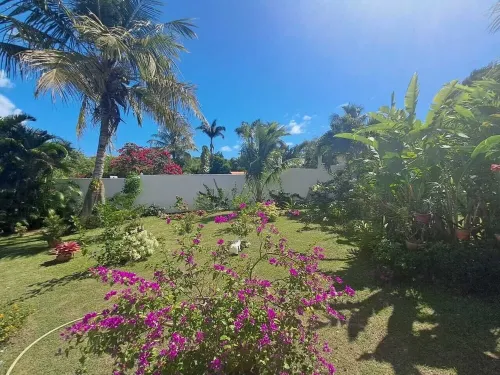 Joli Logement Avec Jardin à Sainte Anne Proche Plage
