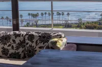 The Little Garden - Ocean View