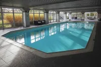 Fletcher Hotel Landgoed Avegoor - Pools
