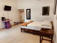 Casa Papalo - Apartments