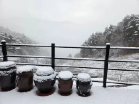 Daon Forest Pension Hotels in Inje-gun