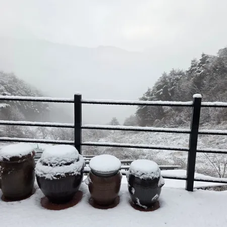 Daon Forest Pension