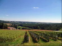 Charming Villa with Private Pool in Saint-Nazaire-de-Valentane -  Holiday Villas