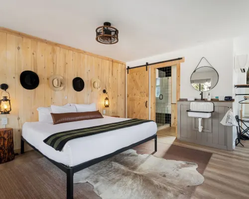 Hotel Palomino Hotels in Ouray County