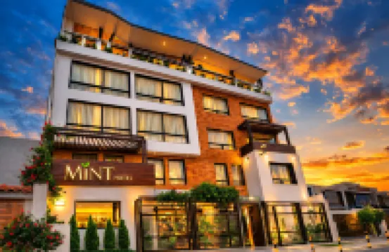 Mint Hotel Hotels in 