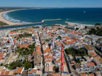 Rua 5 de Outubro - pet friendly