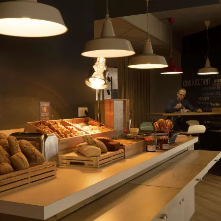 Ibis Arles