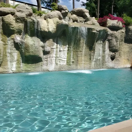 The Windflower Resort & Spa, Mysore