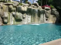 白頭翁度假村和水療 - 度假村