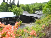 Yachi Onsen - Mountain view