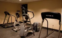 Holiday Inn Express Mentor Banquet Center by IHG - Gym