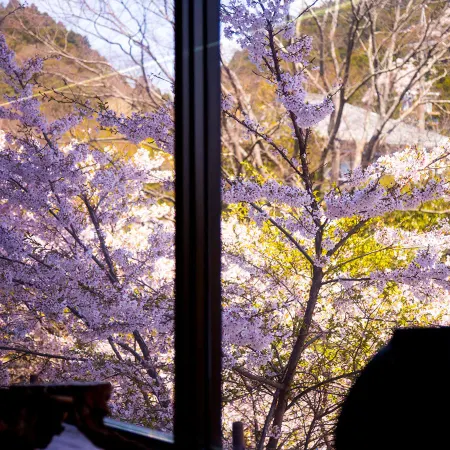 Ryokan Seishounagon