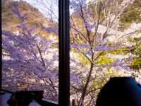 Ryokan Seishounagon - Mountain View