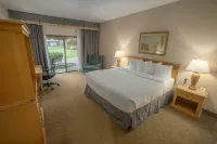 Piccadilly Inn Airport - Phòng tập thể hình