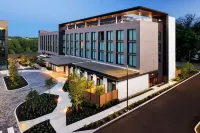 The Brandywine, Radnor, a Tribute Portfolio Hotel - bar