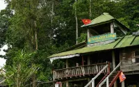 Alagon Ecolodge Nam Cat Tien - piscina
