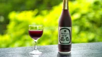 熱鹽溫泉山形屋 - 酒吧
