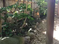 Sawada Onsen Ryokan Iriumi <Sadoshima> - 3 stelle