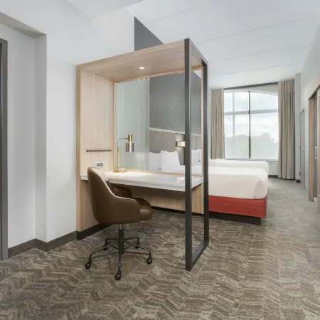 SpringHill Suites Athens Downtown/University Area