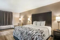 Red Roof Inn Savannah - Southside/ Midtown - Motels