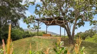 Rancho Alegre Natureza e Animais em Itabaiana - Homestays