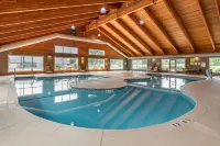 Comfort Suites Coralville I-80 - Pet friendly