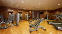 Clarion Paris CDG Airport - Gym