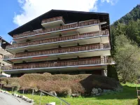 Parc B 431 Hotels near Domaine skiable de Champex-Lac