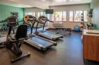 Holiday Inn Express & Suites GUNNISON by IHG - Gym