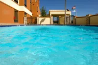 Holiday Inn Express & Suites DALLAS FT. WORTH AIRPORT SOUTH by IHG - Uima-altaat
