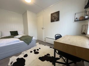 Bnb Stavanger Ap 9 Bertis Rooftop Terrace