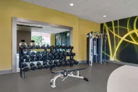 Hilton Garden Inn Madison Huntsville Airport - Gym