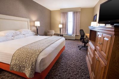 Deluxe Room, 1 King Bed, Accessible, Refrigerator&Microwave (Roll in Shower)