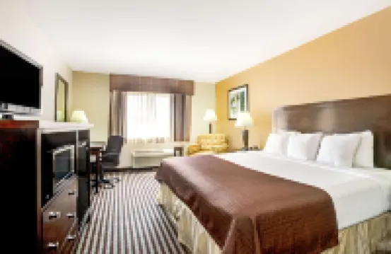 Baymont by Wyndham Dallas/ Love Field