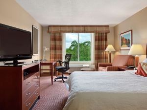 Hilton Garden Inn Chicago/Oakbrook Terrace