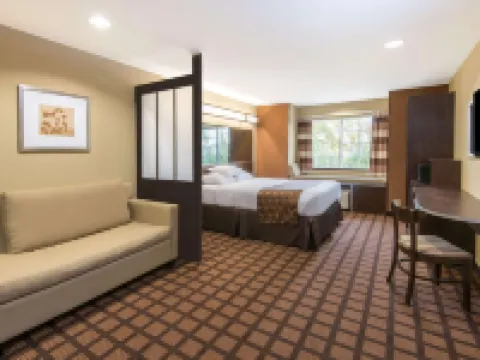 マイクロテル イン & スイーツ バイ ウィンダム ノース カントン ジャクソンのホテル