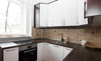 ApartLux Paveletskaya Superior