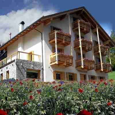 Dolomiti Lodge Villa Gaia Hotel Exterior