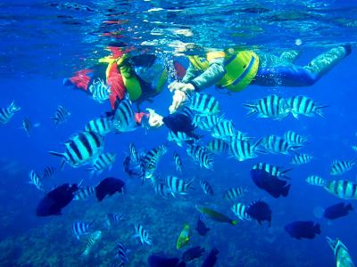 施設外観 沖縄 かりゆし ビーチリゾート オーシャンスパの写真