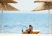 Brown Beach Eretria