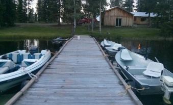 a wooden dock with several boats docked at the shore , including a blue rowboat and a green boat at Pine Point Resort