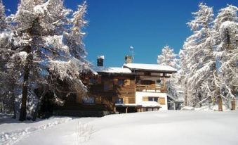 Rifugio Alpino l'Ermitage - Hostel