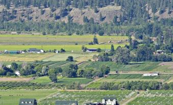 Crowsnest Vineyards Guesthouse