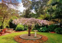 Adamsons Riverside Accommodation Hotels in Gracetown