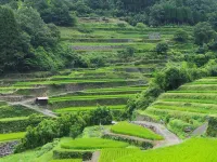 Chikugo Yoshii Machiya Inn Ikunami << 100-Year-Old>> Hotels in Ukiha