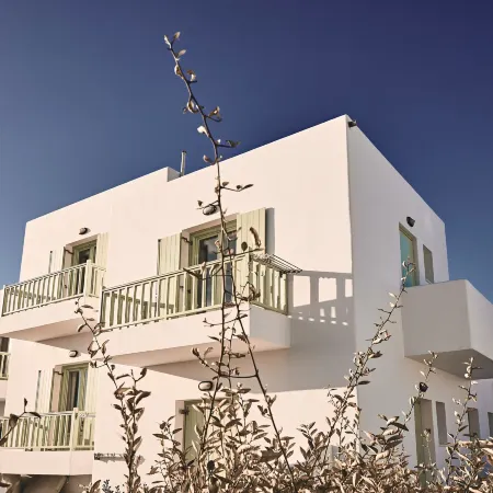 Noon Beyond Accommodation