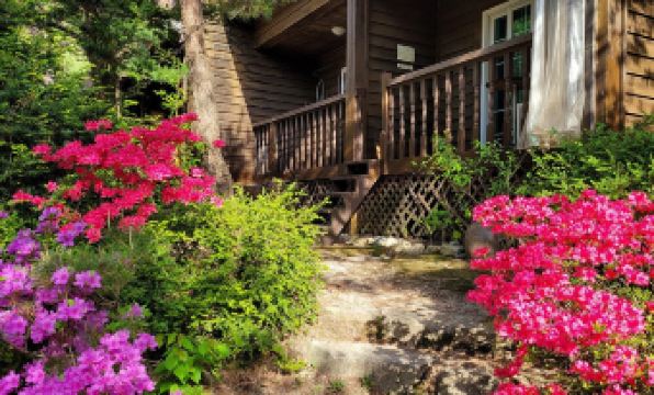 작은새재 이미지